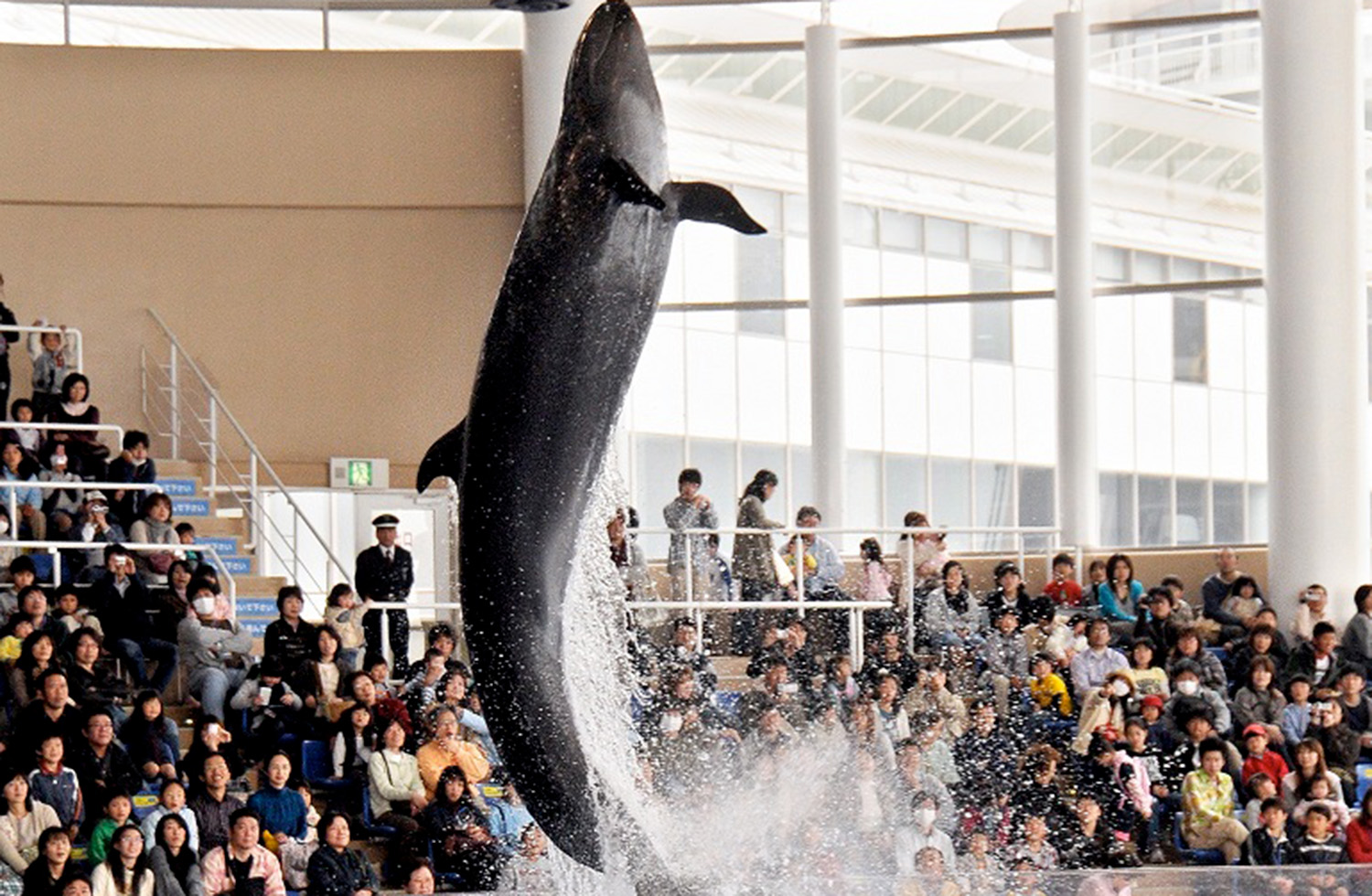 アクアワールド大洗水族館