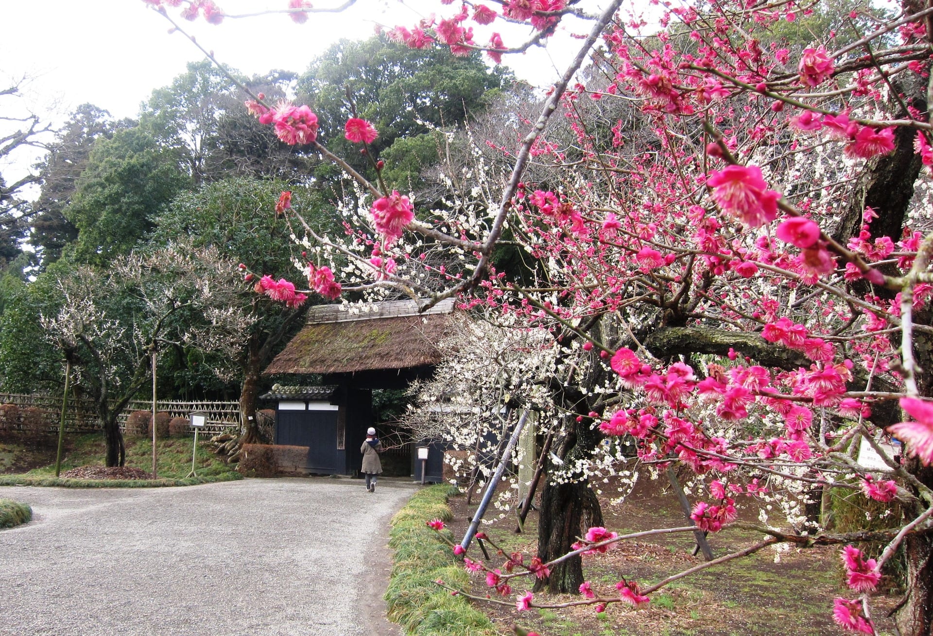 水戸偕楽園